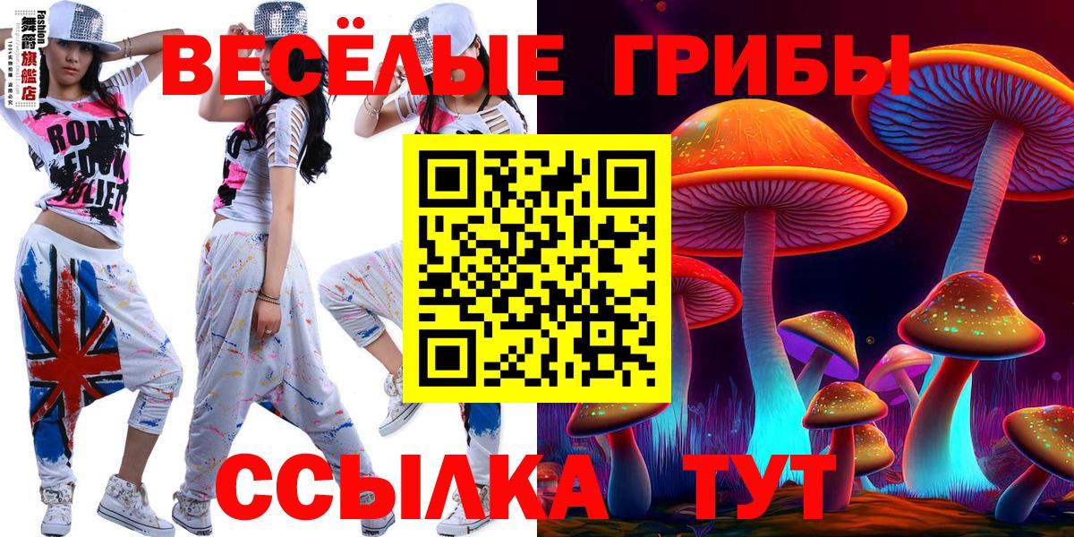 цена наркотик  Вход с VPN  Жуковский  Псилоцибиновые грибы Psilocybine cubensis  Псилоцибиновые грибы MAGIC MUSHROOMS 